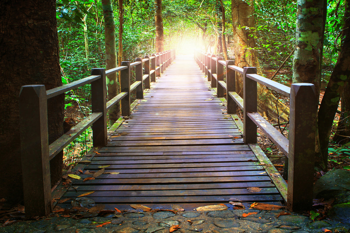 3-piece-acrylic-print-the-bridge-in-the-forest