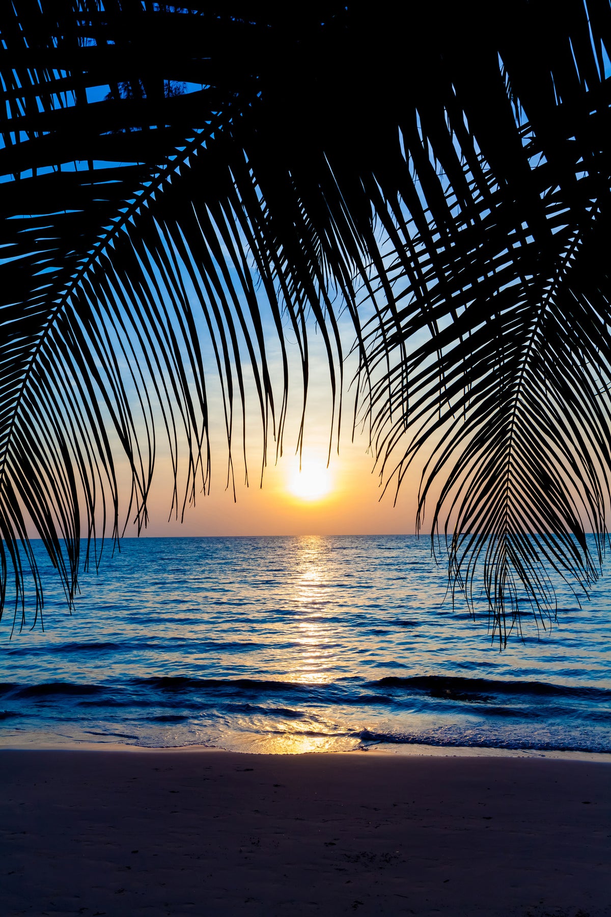 framedcanvas-print-through-the-palm