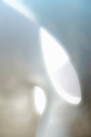 aluminium-print-organic-shapes