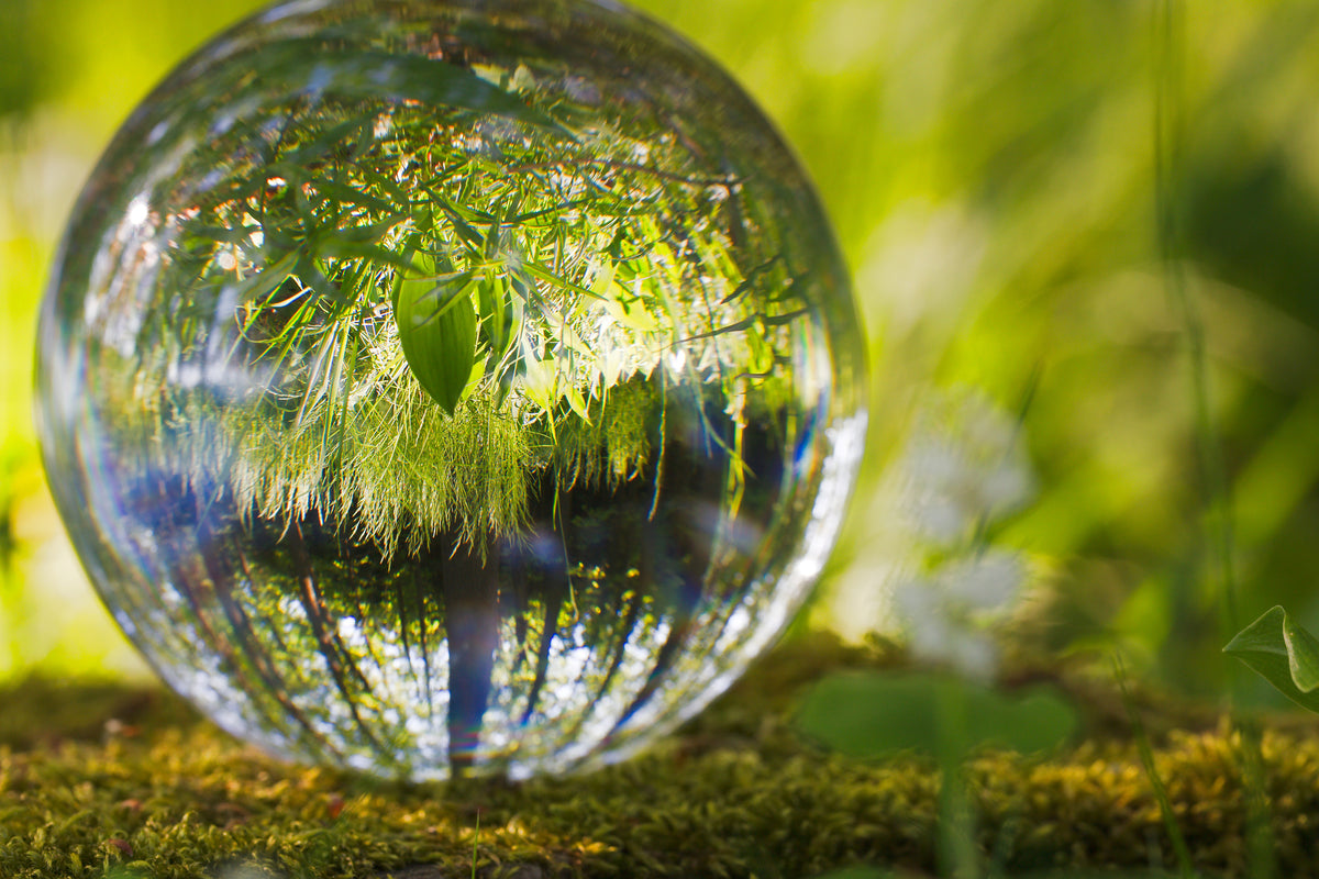 canvas-print-nature-ball