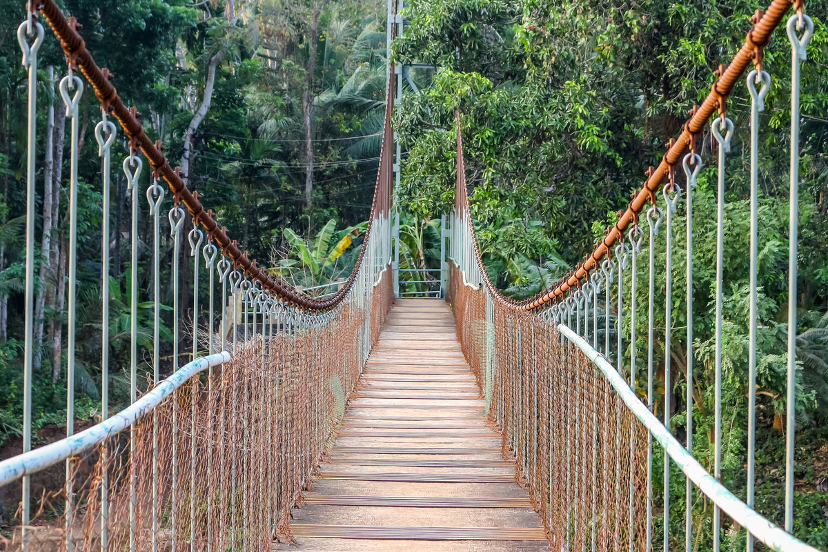 poster-print-bridge-for-the-brave
