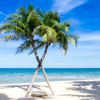 aluminium-print-dream-beach-caribbean