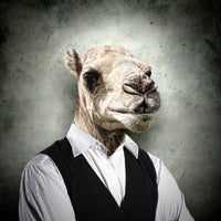 aluminium-print-the-portrait