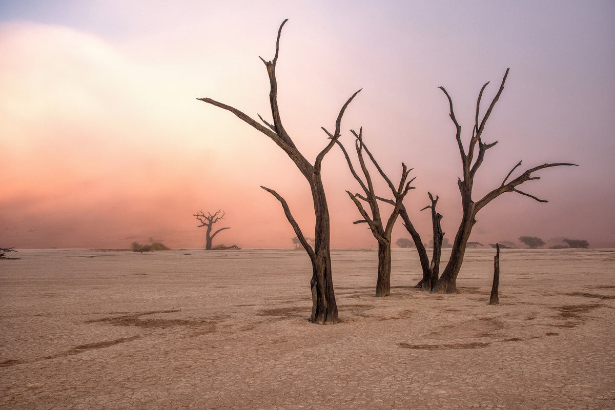 canvas-print-fog-in-deadvlei