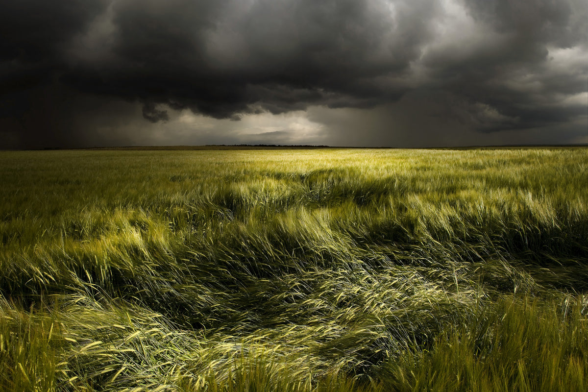 3-piece-canvas-print-summer-weather
