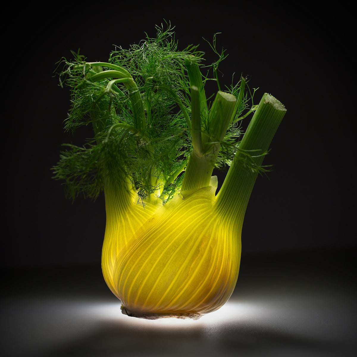 canvas-print-fennel