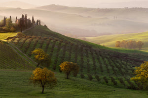 3-piece-canvas-print-tutte-le-strade-portano-a-belvedere