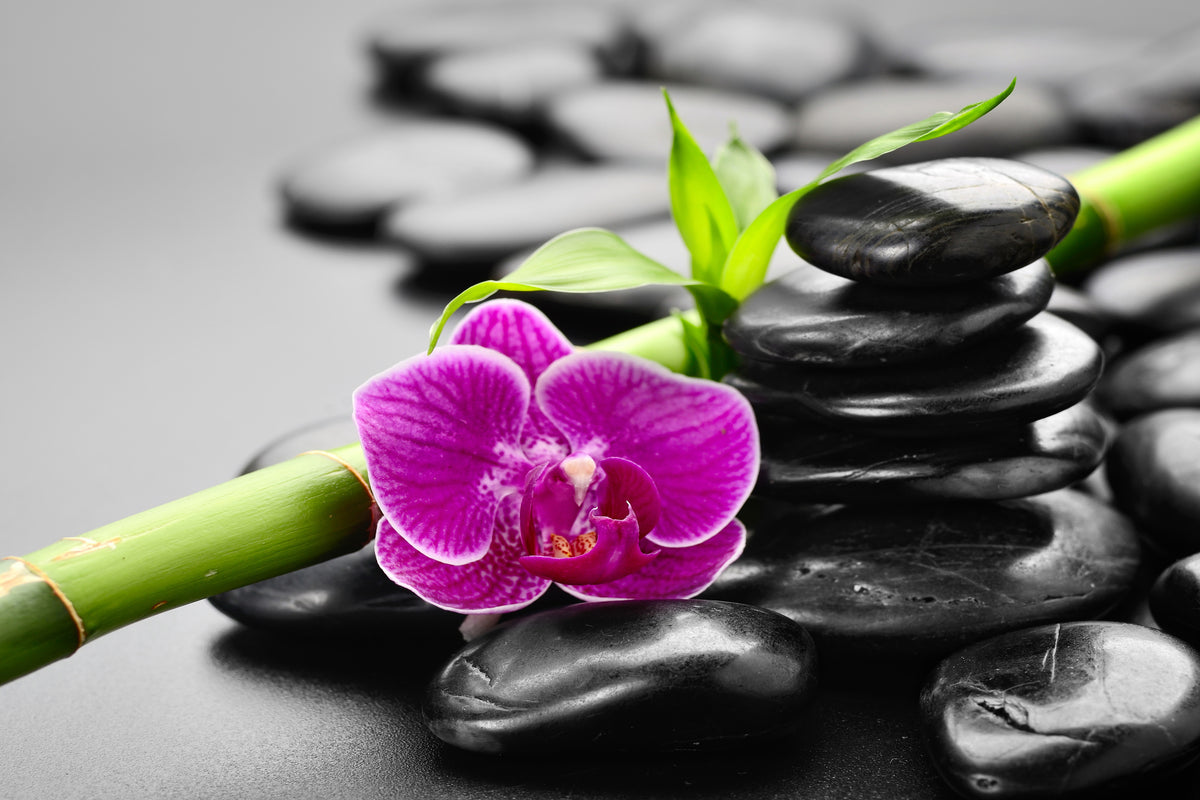 canvas-print-feng-shui-orchid