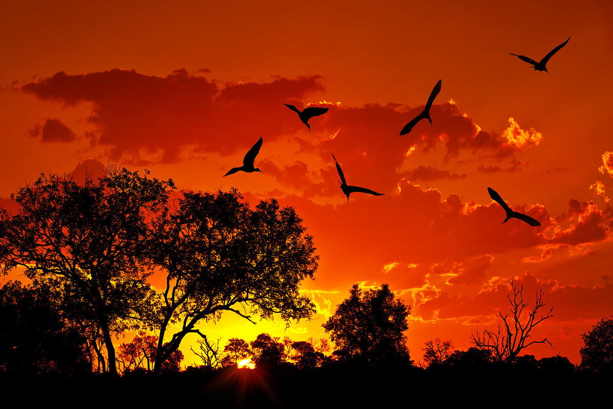 3-piece-canvas-print-african-feeling