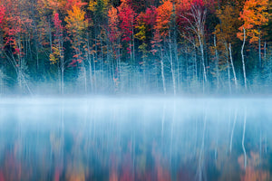 framedposter-print-morning-reflection