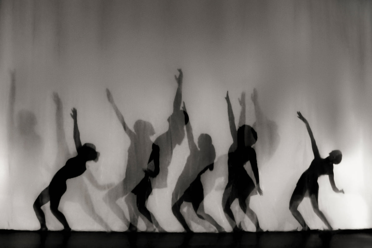framedcanvas-print-dance-is-the-language-of-the-soul