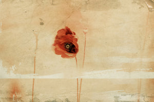 acrylic-print-fragment