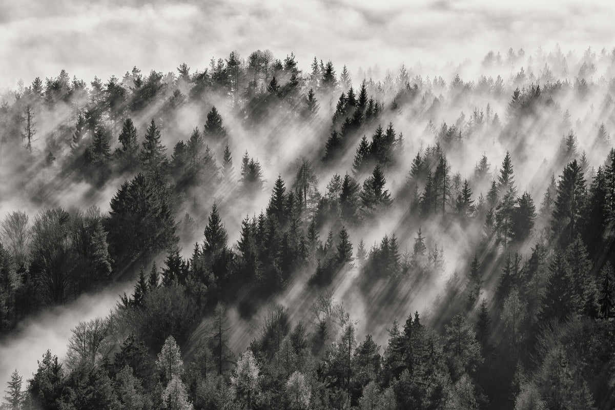 framedcanvas-print-sundance-no-i