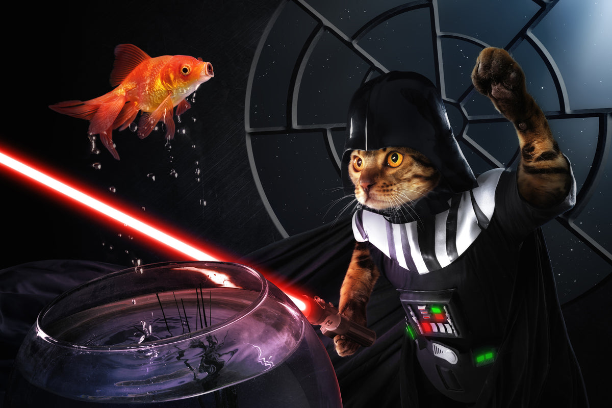framedposter-print-darth-sushi