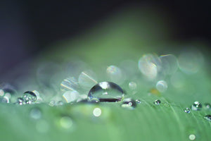 acrylic-print-drops-of-water-in-xxl