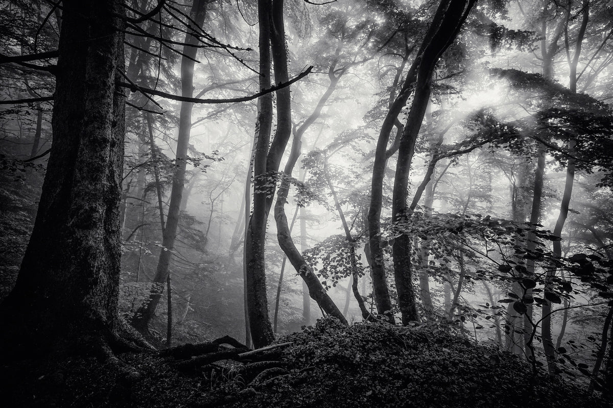 modern-3-piece-canvas-print-mysterious-light