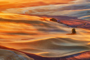 framedcanvas-print-golden-palouse-x