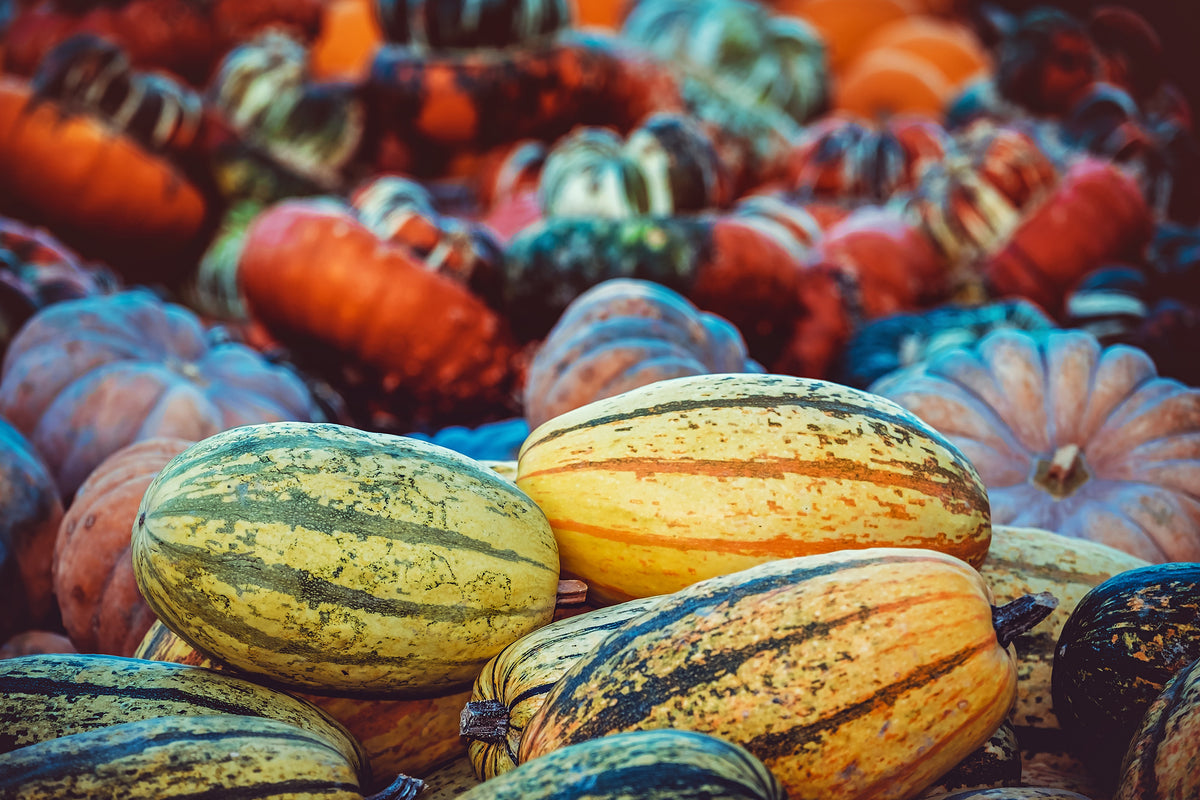 aluminium-print-pumpkin-types