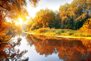 modern-3-piece-aluminium-print-forest-reflection-in-water