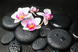 3-piece-acrylic-print-feng-shui-orchid-zen