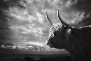 framedposter-print-the-highlands-x