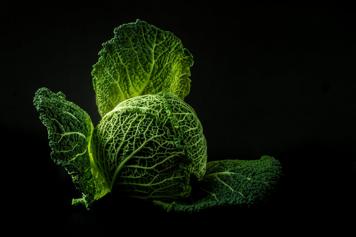 acrylic-print-the-cabbage