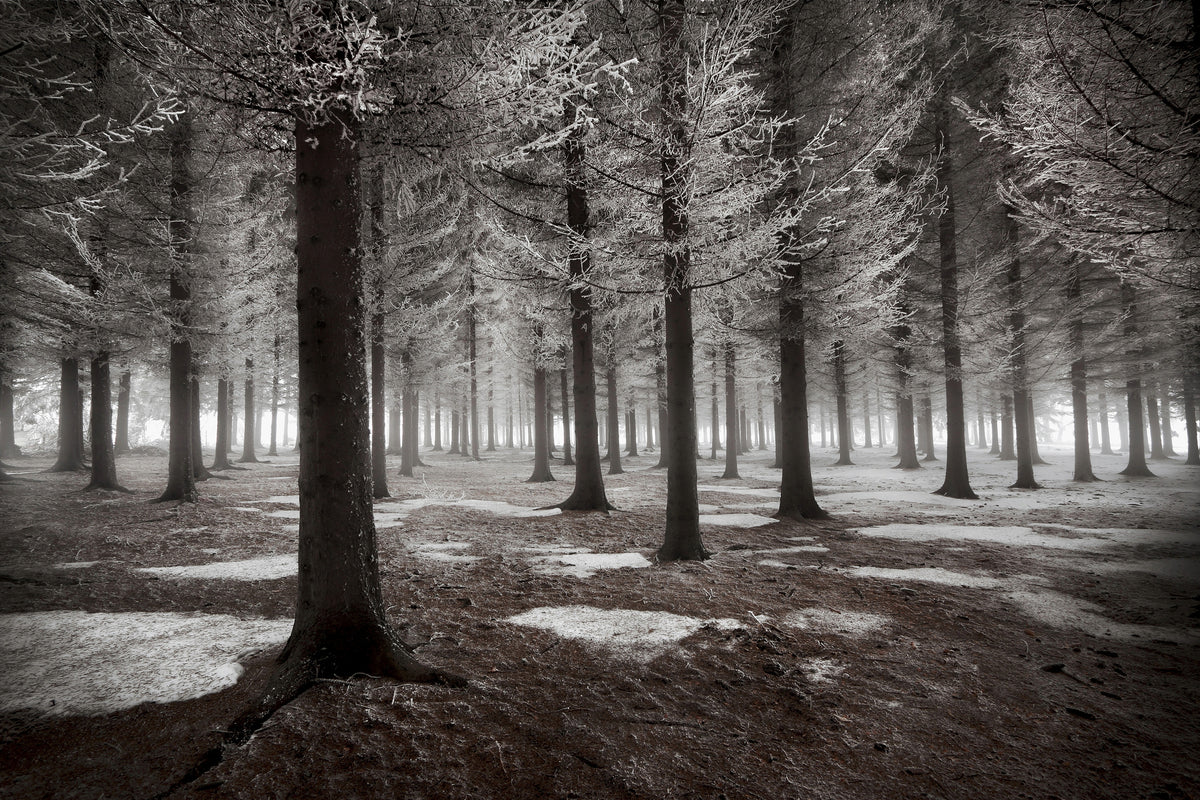 aluminium-print-the-onset-of-winter