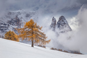 framedcanvas-print-between-seasons-x
