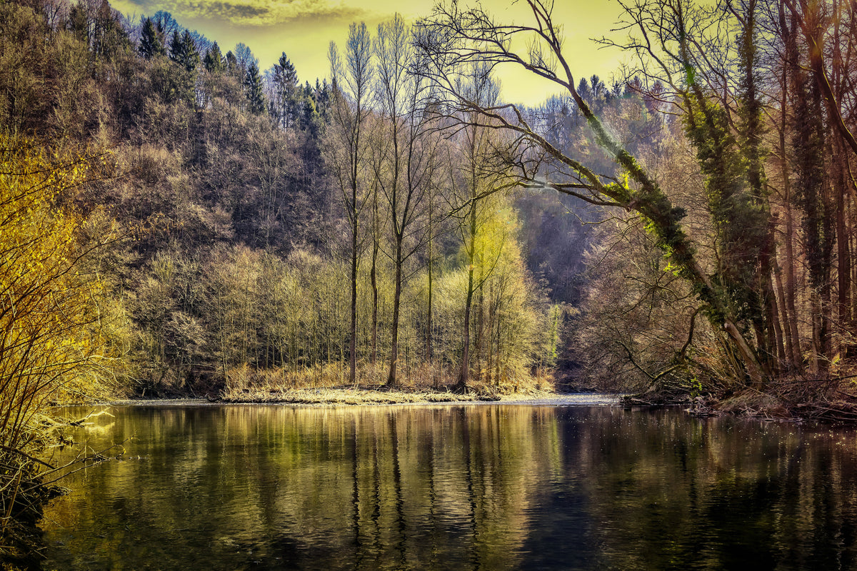 3-piece-canvas-print-lake-in-the-forest