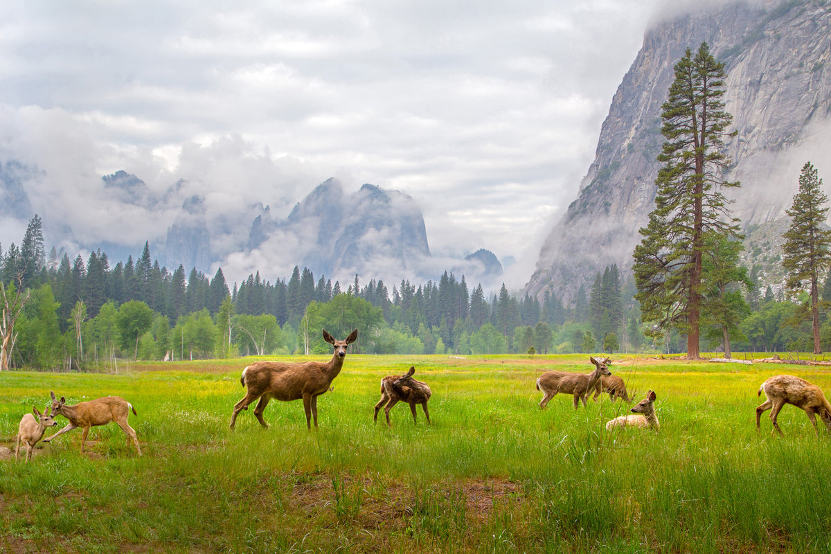 3-piece-canvas-print-a-feeling-of-ancient-time