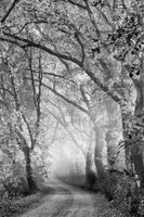 acrylic-print-tuscan-dream-alley