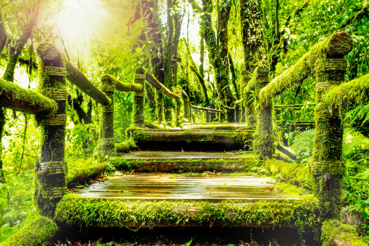 modern-3-piece-canvas-print-moss