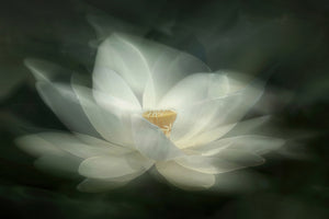 canvas-print-swaying-x