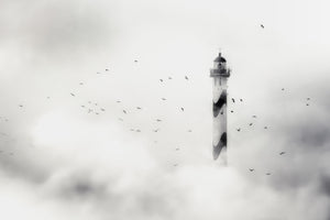 framedcanvas-print-the-fog