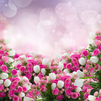 acrylic-print-fable-roses