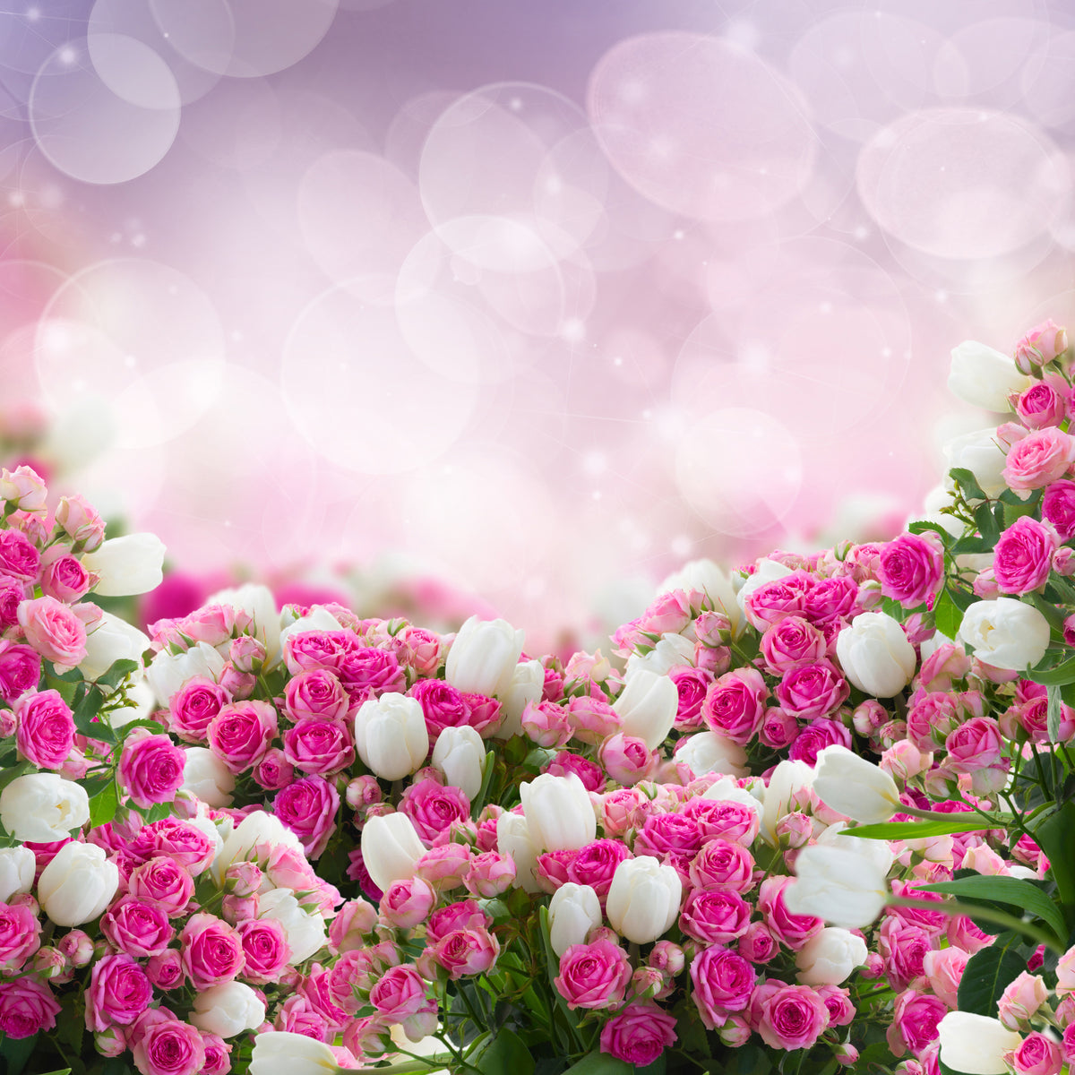 acrylic-print-fable-roses