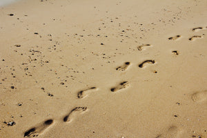 framedposter-print-footprints-in-the-sand