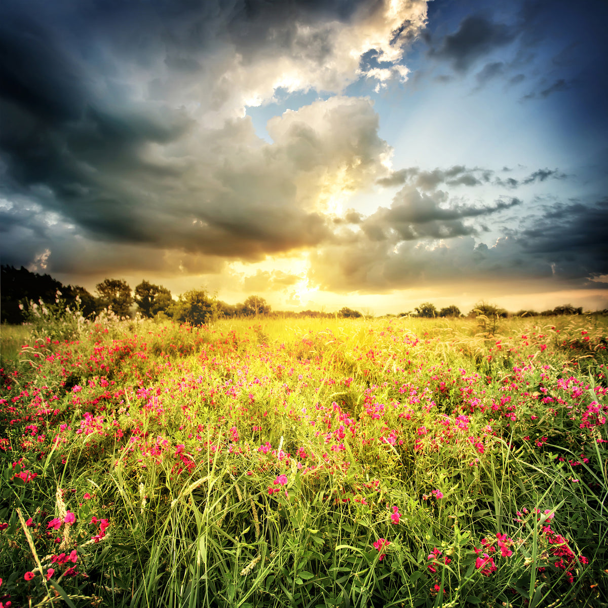 9-piece-aluminium-print-flowers-landscape