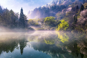 poster-print-morning-calm