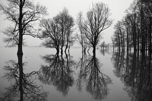 aluminium-print-flood-x
