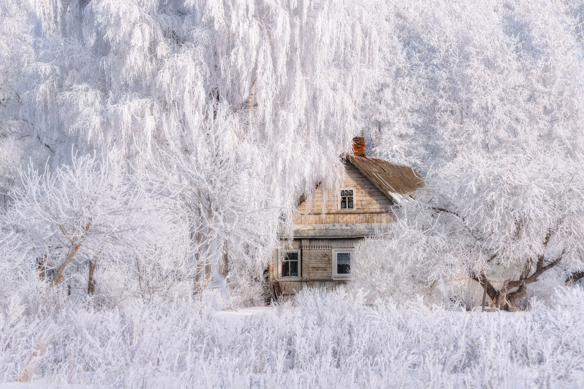 aluminium-print-winter-tale-x