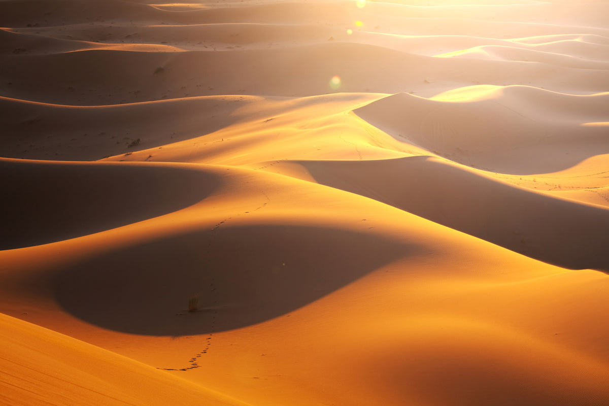 canvas-print-wilderness-journey