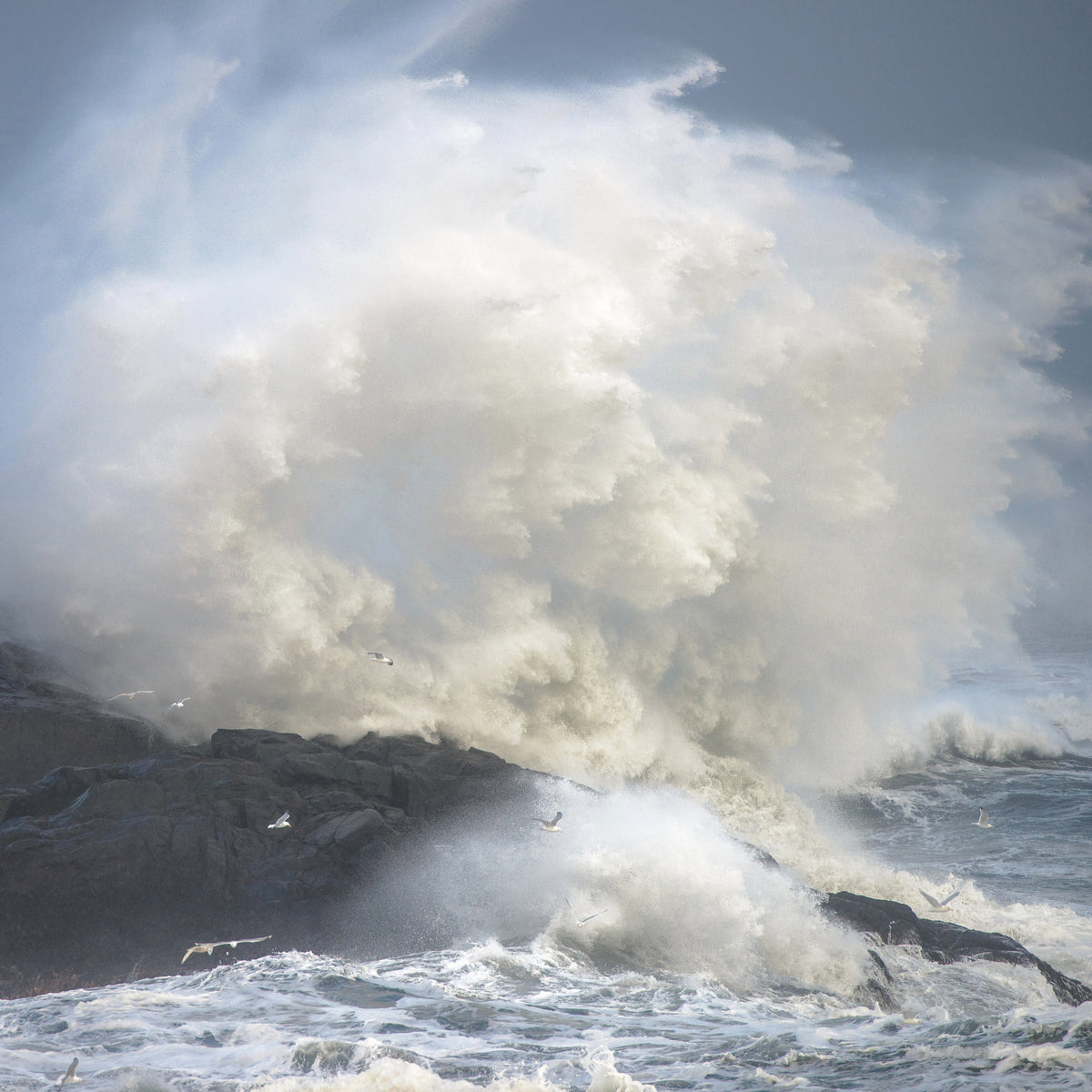 poster-print-storm-xcw
