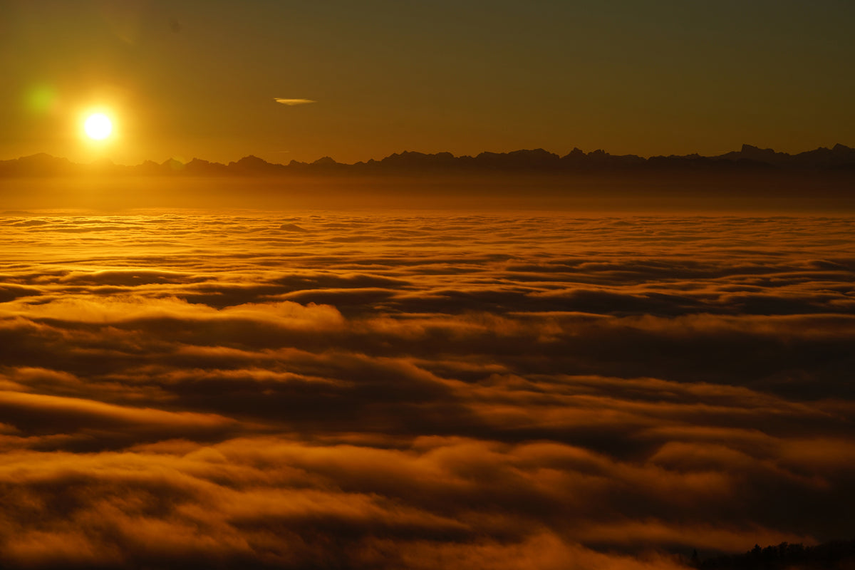 canvas-print-sunrise-in-the-nature