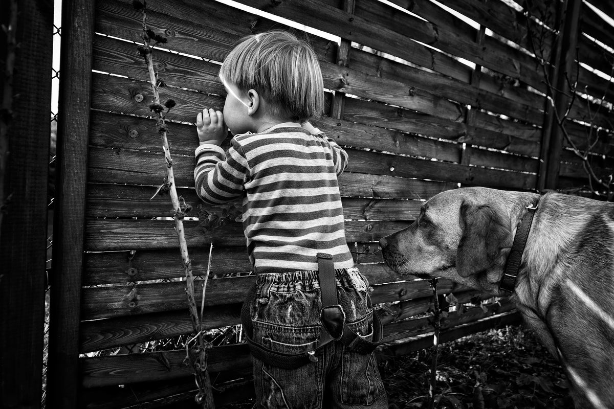 acrylic-print-the-world-from-behind-the-fence-x