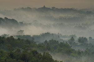 acrylic-print-temple-in-the-mist
