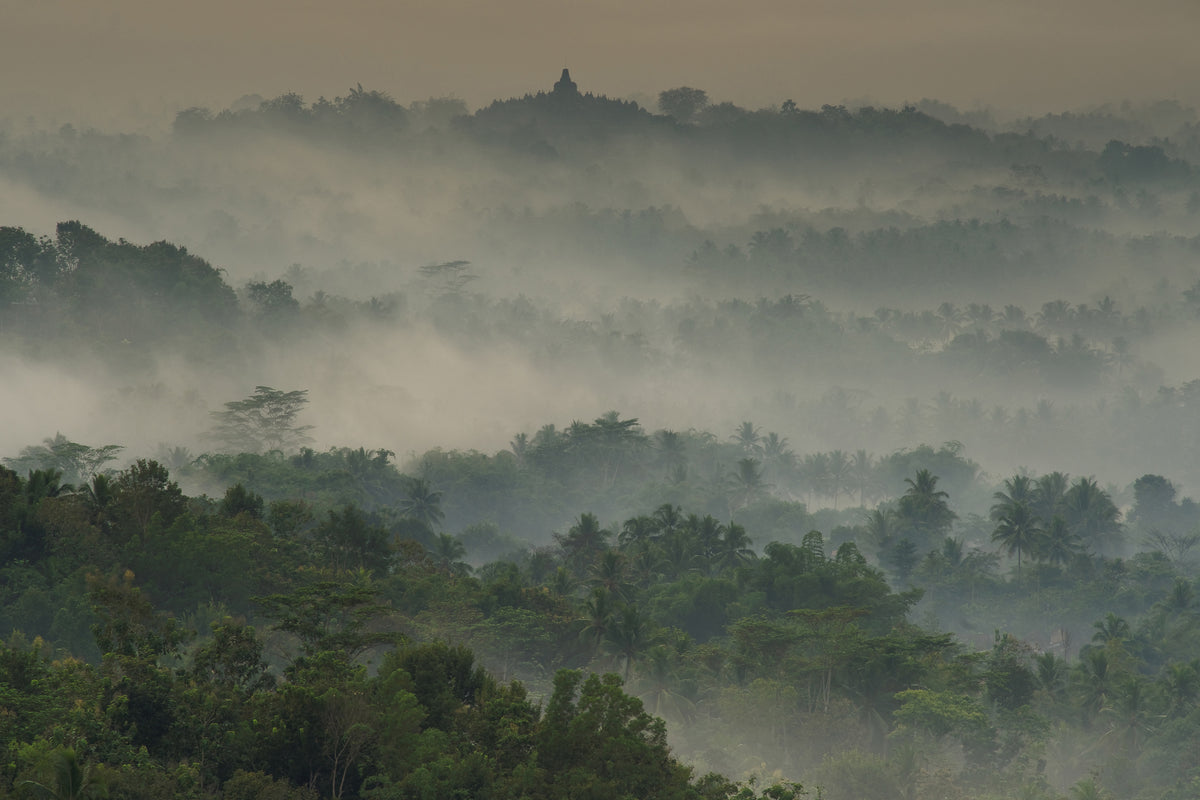 acrylic-print-temple-in-the-mist