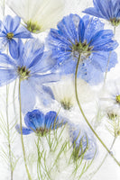 aluminium-print-cosmos-blue