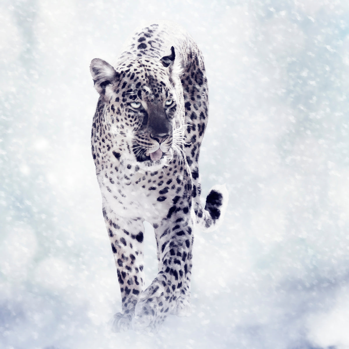 9-piece-canvas-print-photo-wallaper-the-leopard