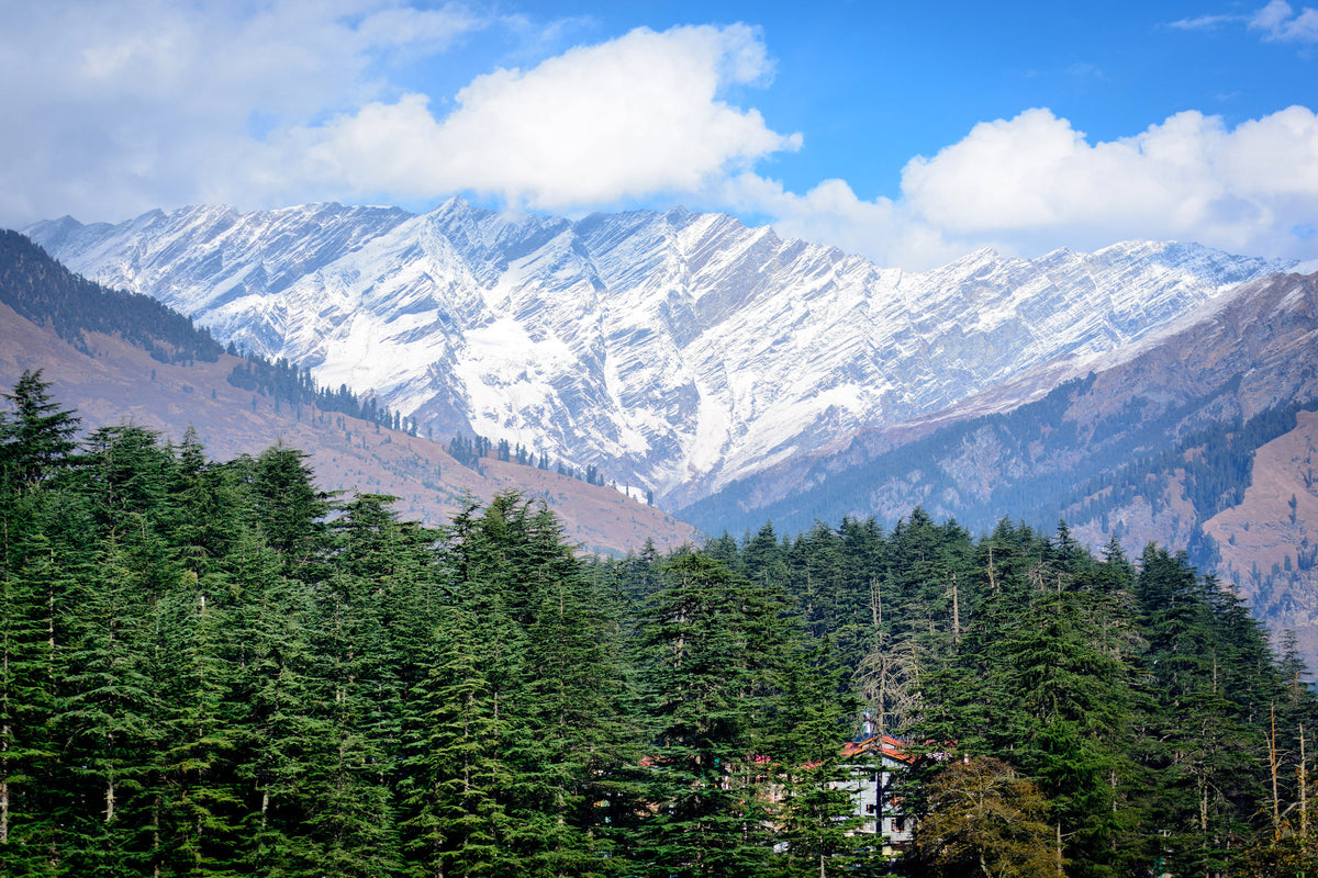 acrylic-print-view-of-manali